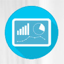 bi reports