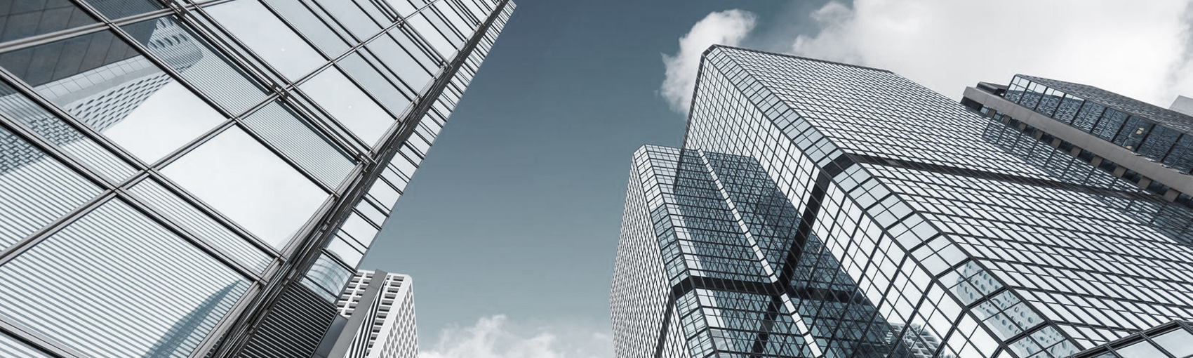 erp solution organization
